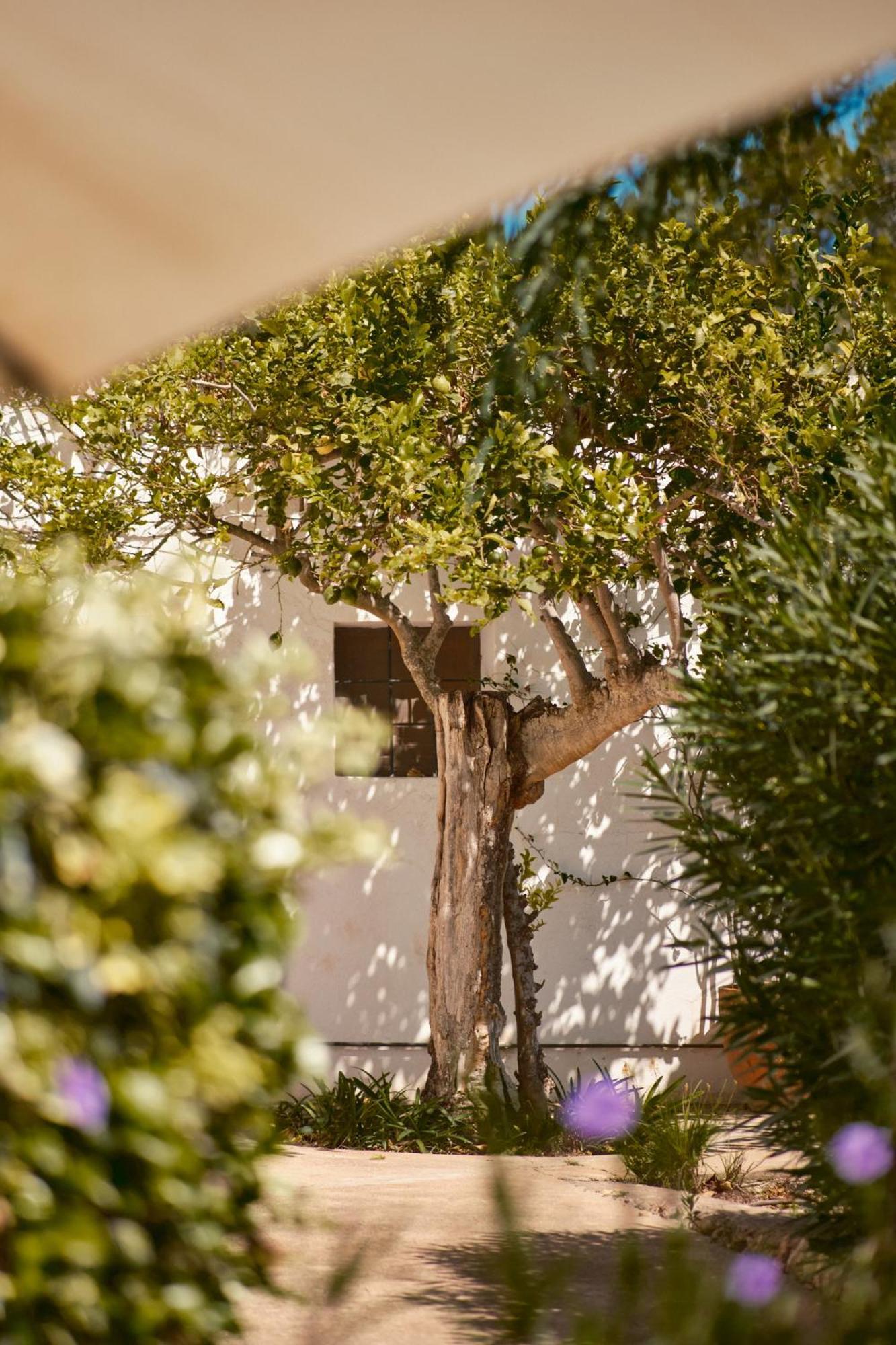 ホテル The Guardian House Santa Gertrudis  エクステリア 写真