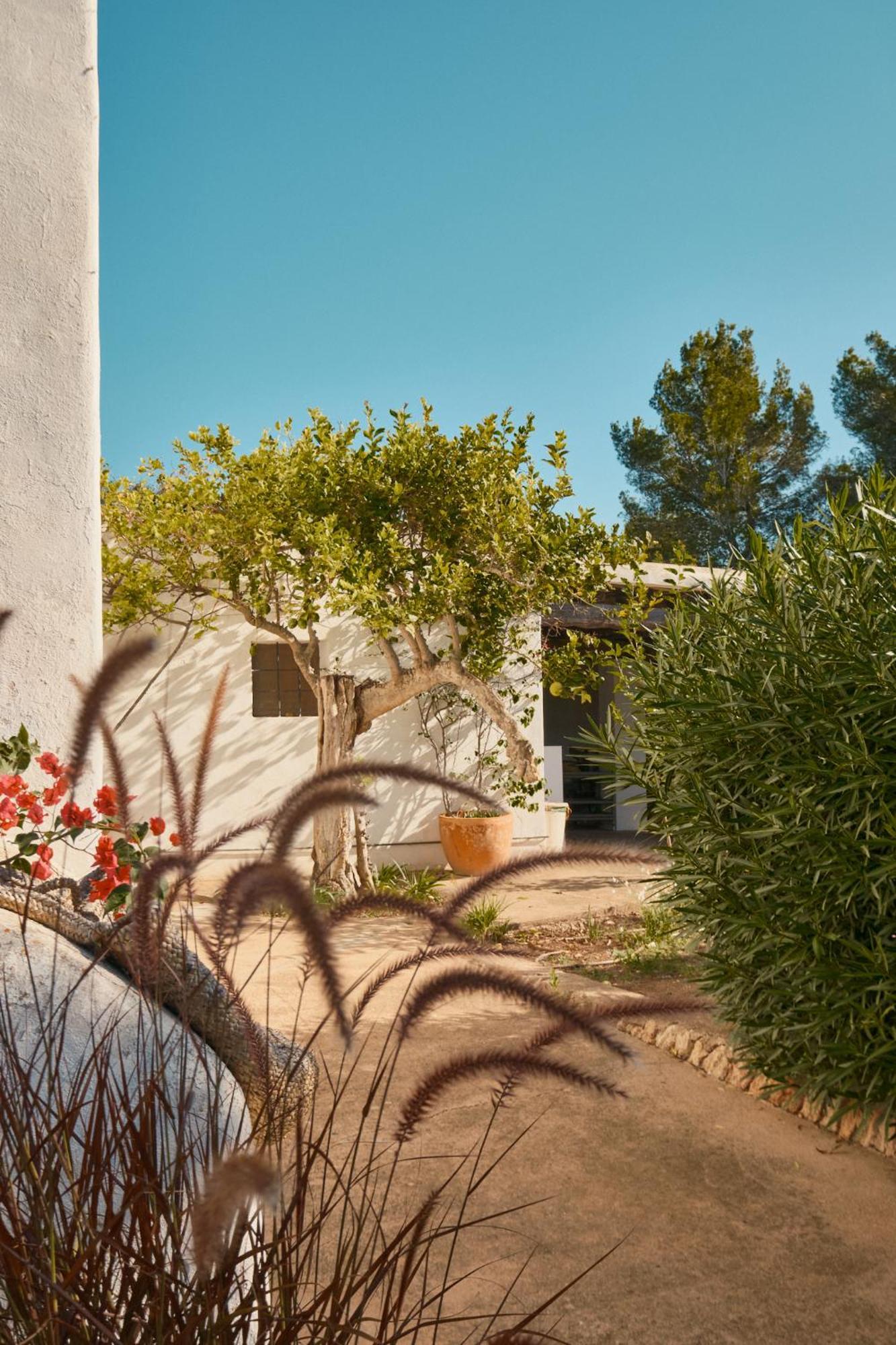 ホテル The Guardian House Santa Gertrudis  エクステリア 写真